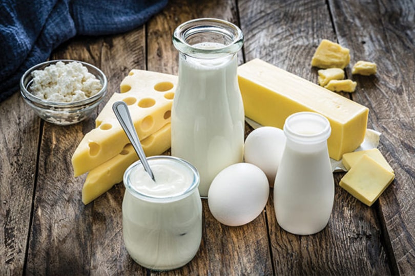 Dairy